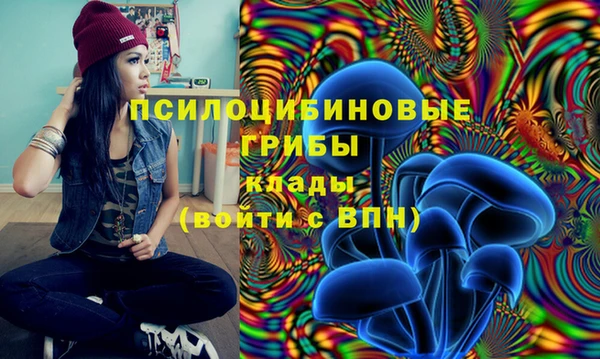 твердый Балабаново
