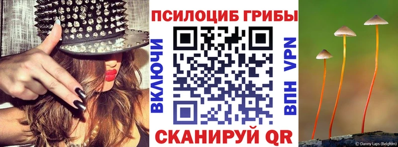 закладки  блэк спрут рабочий сайт  Галлюциногенные грибы прущие грибы  Среднеколымск 